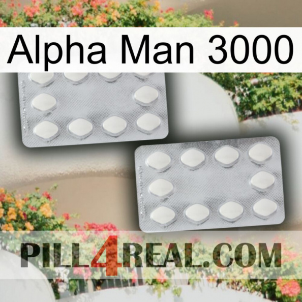 Alpha Man 3000 17.jpg